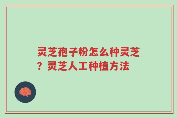 灵芝孢子粉怎么种灵芝?灵芝人工种植方法-第1张图片-超越 灵芝孢子粉怎么种灵芝?灵芝人工种植方法-第1张图片-超越