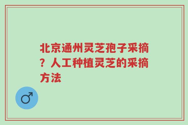 北京通州灵芝孢子采摘?人工种植灵芝的采摘方法-第1张图片-超越 北京通州灵芝孢子采摘?人工种植灵芝的采摘方法-第1张图片-超越