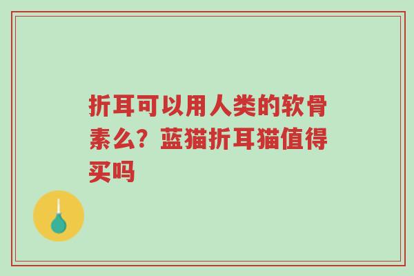 折耳可以用人类的软骨素么？蓝猫折耳猫值得买吗-第1张图片-超越