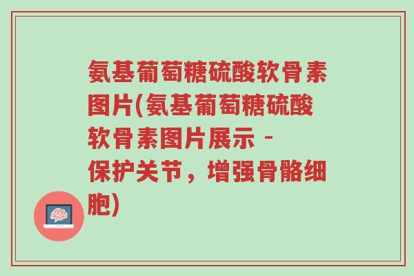 氨基葡萄糖硫酸软骨素图片(氨基葡萄糖硫酸软骨素图片展示 - 保护关节,增强骨骼细胞)-第1张图片-超越 氨基葡萄糖硫酸软骨素图片(氨基葡萄糖硫酸软骨素图片展示 - 保护关节,增强骨骼细胞)-第1张图片-超越