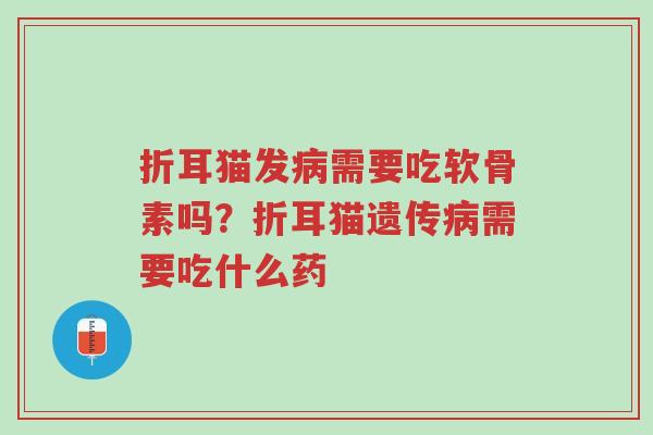 折耳猫发病需要吃软骨素吗？折耳猫遗传病需要吃什么药-第1张图片-超越