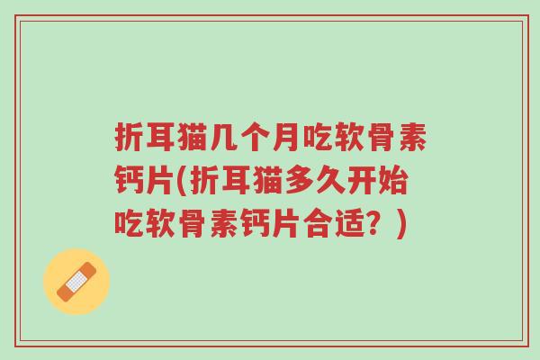 折耳猫几个月吃软骨素钙片(折耳猫多久开始吃软骨素钙片合适?)-第1张图片-超越 折耳猫几个月吃软骨素钙片(折耳猫多久开始吃软骨素钙片合适?)-第1张图片-超越