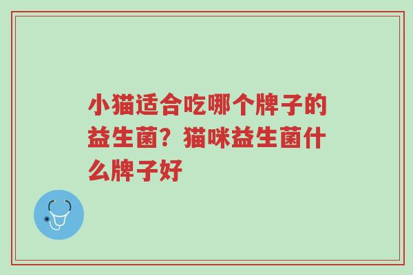 小猫适合吃哪个牌子的益生菌？猫咪益生菌什么牌子好-第1张图片-超越