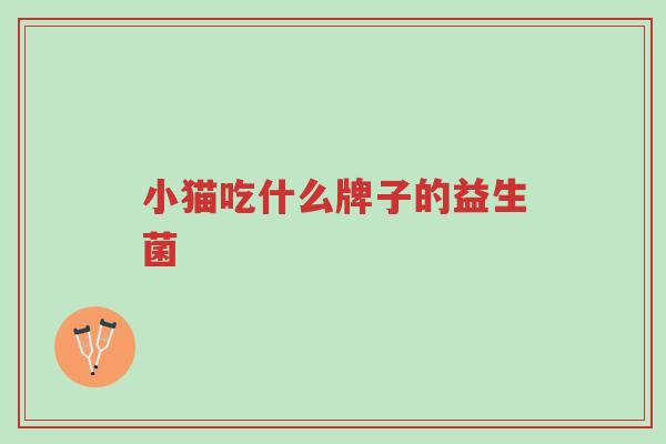 小猫吃什么牌子的益生菌-第1张图片-超越 小猫吃什么牌子的益生菌-第1张图片-超越