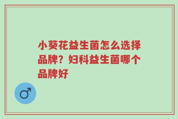 小葵花益生菌怎么选择品牌？妇科益生菌哪个品牌好-第1张图片-超越