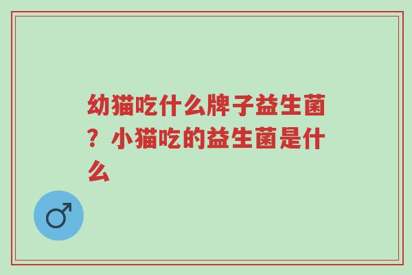 幼猫吃什么牌子益生菌？小猫吃的益生菌是什么-第1张图片-超越