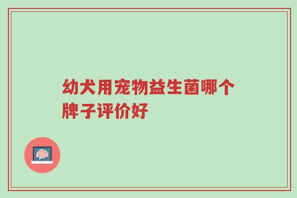 幼犬用宠物益生菌哪个牌子评价好-第1张图片-超越 幼犬用宠物益生菌哪个牌子评价好-第1张图片-超越
