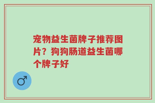 宠物益生菌牌子推荐图片?狗狗肠道益生菌哪个牌子好-第1张图片-超越 宠物益生菌牌子推荐图片?狗狗肠道益生菌哪个牌子好-第1张图片-超越