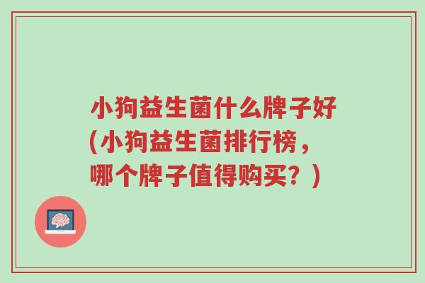 小狗益生菌什么牌子好(小狗益生菌排行榜,哪个牌子值得购买?)-第1张图片-超越 小狗益生菌什么牌子好(小狗益生菌排行榜,哪个牌子值得购买?)-第1张图片-超越
