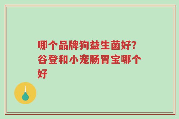 哪个品牌狗益生菌好？谷登和小宠肠胃宝哪个好-第1张图片-超越