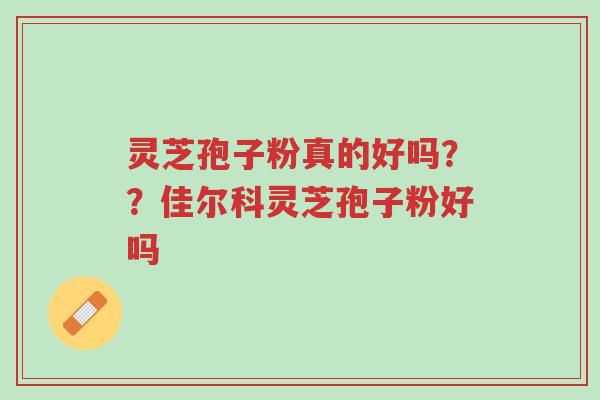 灵芝孢子粉真的好吗？？佳尔科灵芝孢子粉好吗-第1张图片-超越