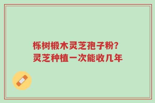 栎树椴木灵芝孢子粉?灵芝种植一次能收几年-第1张图片-超越 栎树椴木灵芝孢子粉?灵芝种植一次能收几年-第1张图片-超越