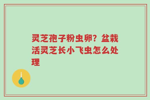 灵芝孢子粉虫卵?盆栽活灵芝长小飞虫怎么处理-第1张图片-超越 灵芝孢子粉虫卵?盆栽活灵芝长小飞虫怎么处理-第1张图片-超越
