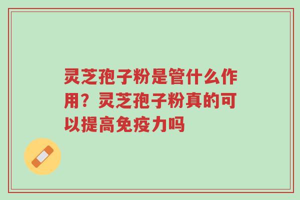 灵芝孢子粉是管什么作用?灵芝孢子粉真的可以提高免疫力吗-第1张图片-超越 灵芝孢子粉是管什么作用?灵芝孢子粉真的可以提高免疫力吗-第1张图片-超越