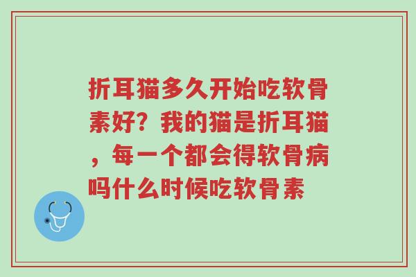折耳猫多久开始吃软骨素好?我的猫是折耳猫,每一个都会得软骨病吗什么时候吃软骨素-第1张图片-超越 折耳猫多久开始吃软骨素好?我的猫是折耳猫,每一个都会得软骨病吗什么时候吃软骨素-第1张图片-超越