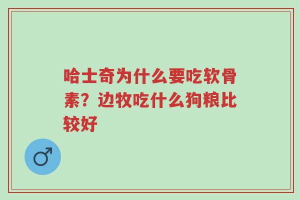 哈士奇为什么要吃软骨素?边牧吃什么狗粮比较好-第1张图片-超越 哈士奇为什么要吃软骨素?边牧吃什么狗粮比较好-第1张图片-超越