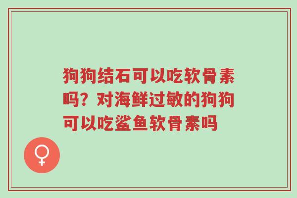 狗狗结石可以吃软骨素吗?对海鲜过敏的狗狗可以吃鲨鱼软骨素吗-第1张图片-超越 狗狗结石可以吃软骨素吗?对海鲜过敏的狗狗可以吃鲨鱼软骨素吗-第1张图片-超越