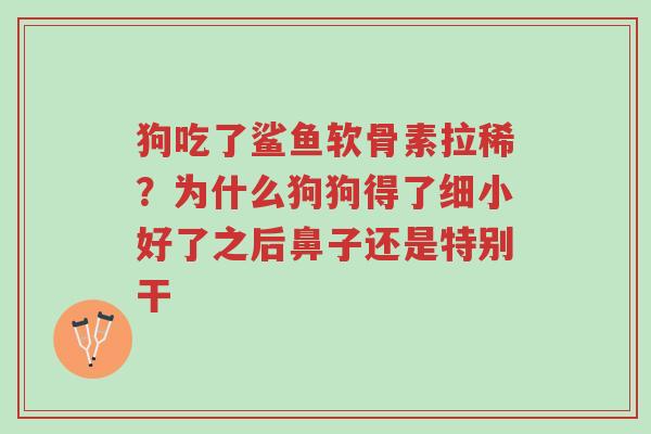 狗吃了鲨鱼软骨素拉稀?为什么狗狗得了细小好了之后鼻子还是特别干-第1张图片-超越 狗吃了鲨鱼软骨素拉稀?为什么狗狗得了细小好了之后鼻子还是特别干-第1张图片-超越