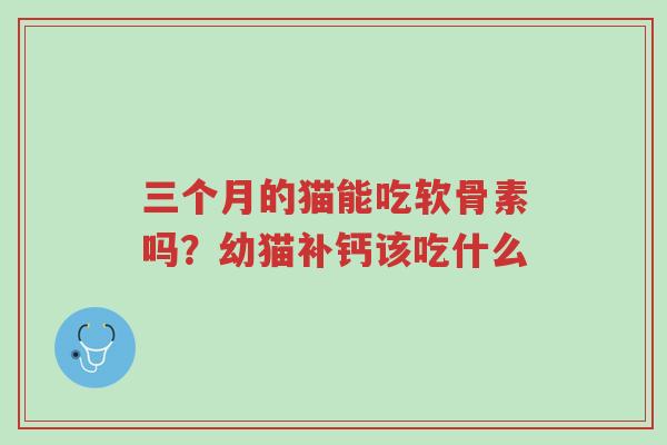 三个月的猫能吃软骨素吗?幼猫补钙该吃什么-第1张图片-超越 三个月的猫能吃软骨素吗?幼猫补钙该吃什么-第1张图片-超越