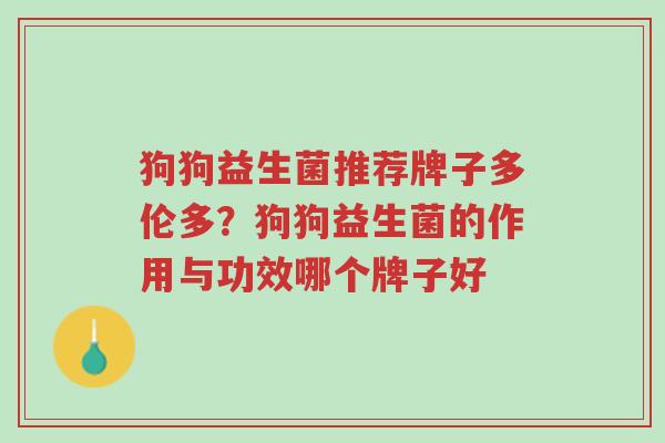 狗狗益生菌推荐牌子多伦多?狗狗益生菌的作用与功效哪个牌子好-第1张图片-超越 狗狗益生菌推荐牌子多伦多?狗狗益生菌的作用与功效哪个牌子好-第1张图片-超越