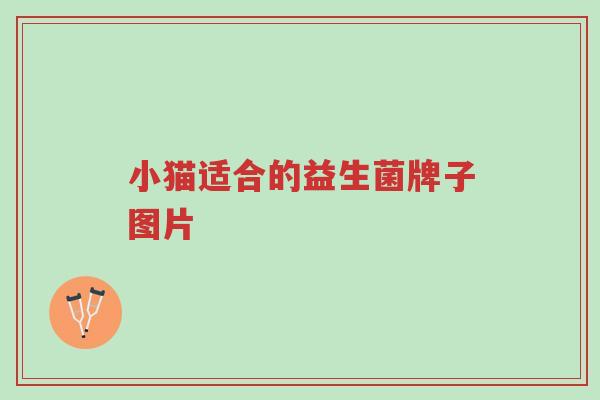 小猫适合的益生菌牌子图片-第1张图片-超越 小猫适合的益生菌牌子图片-第1张图片-超越