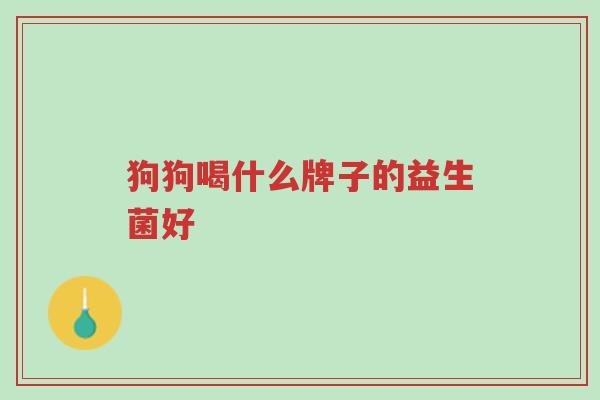 狗狗喝什么牌子的益生菌好-第1张图片-超越