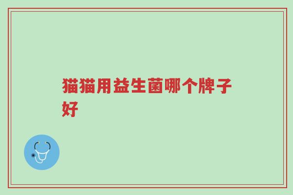 猫猫用益生菌哪个牌子好-第1张图片-超越 猫猫用益生菌哪个牌子好-第1张图片-超越