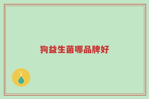 狗益生菌哪品牌好-第1张图片-超越 狗益生菌哪品牌好-第1张图片-超越