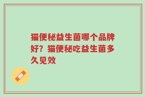 猫便秘益生菌哪个品牌好?猫便秘吃益生菌多久见效-第1张图片-超越 猫便秘益生菌哪个品牌好?猫便秘吃益生菌多久见效-第1张图片-超越