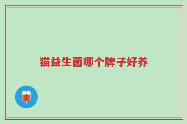 猫益生菌哪个牌子好养-第1张图片-超越 猫益生菌哪个牌子好养-第1张图片-超越