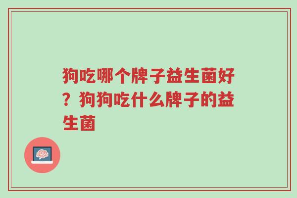 狗吃哪个牌子益生菌好?狗狗吃什么牌子的益生菌-第1张图片-超越 狗吃哪个牌子益生菌好?狗狗吃什么牌子的益生菌-第1张图片-超越