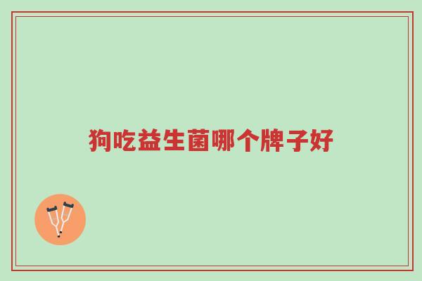 狗吃益生菌哪个牌子好-第1张图片-超越