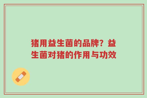 猪用益生菌的品牌？益生菌对猪的作用与功效-第1张图片-超越