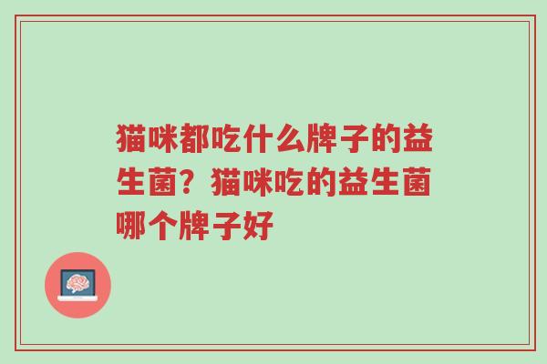 猫咪都吃什么牌子的益生菌？猫咪吃的益生菌哪个牌子好-第1张图片-超越