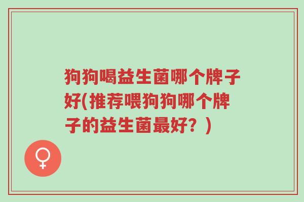 狗狗喝益生菌哪个牌子好(推荐喂狗狗哪个牌子的益生菌最好?)-第1张图片-超越 狗狗喝益生菌哪个牌子好(推荐喂狗狗哪个牌子的益生菌最好?)-第1张图片-超越