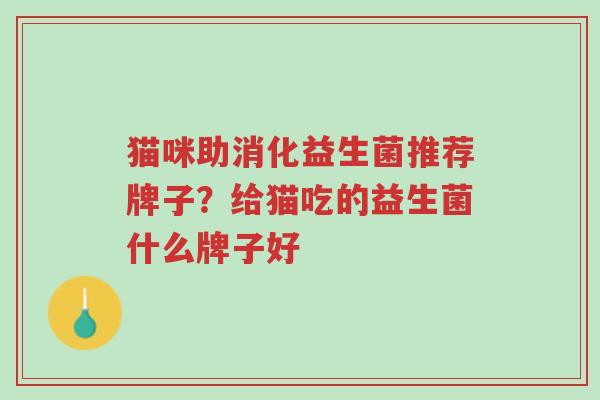 猫咪助消化益生菌推荐牌子?给猫吃的益生菌什么牌子好-第1张图片-超越 猫咪助消化益生菌推荐牌子?给猫吃的益生菌什么牌子好-第1张图片-超越