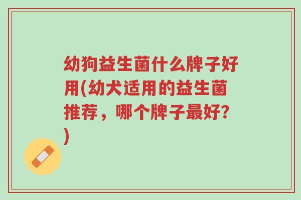 幼狗益生菌什么牌子好用(幼犬适用的益生菌推荐,哪个牌子最好?)-第1张图片-超越 幼狗益生菌什么牌子好用(幼犬适用的益生菌推荐,哪个牌子最好?)-第1张图片-超越