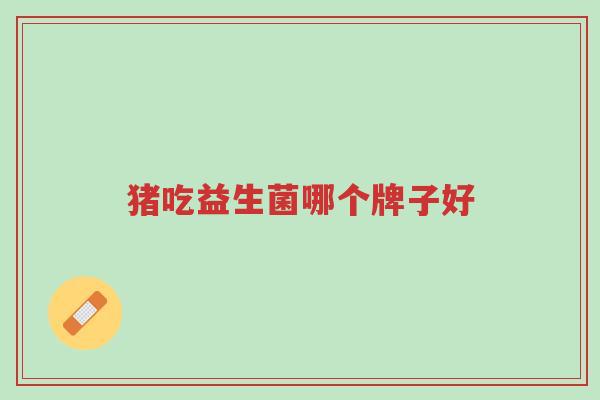 猪吃益生菌哪个牌子好-第1张图片-超越 猪吃益生菌哪个牌子好-第1张图片-超越