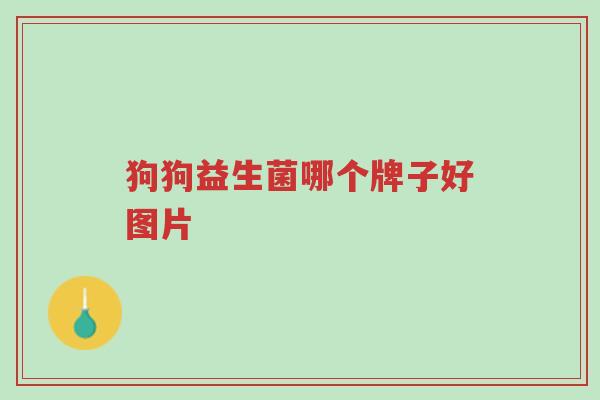 狗狗益生菌哪个牌子好图片-第1张图片-超越 狗狗益生菌哪个牌子好图片-第1张图片-超越