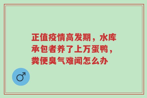 正值疫情高发期，水库承包者养了上万蛋鸭，粪便臭气难闻怎么办-第1张图片-超越