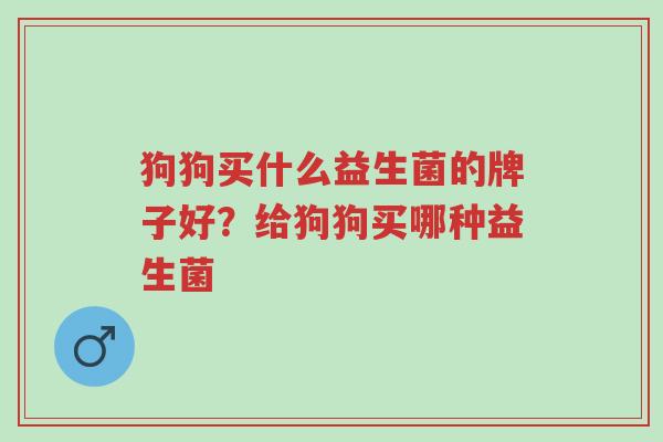 狗狗买什么益生菌的牌子好?给狗狗买哪种益生菌-第1张图片-超越 狗狗买什么益生菌的牌子好?给狗狗买哪种益生菌-第1张图片-超越