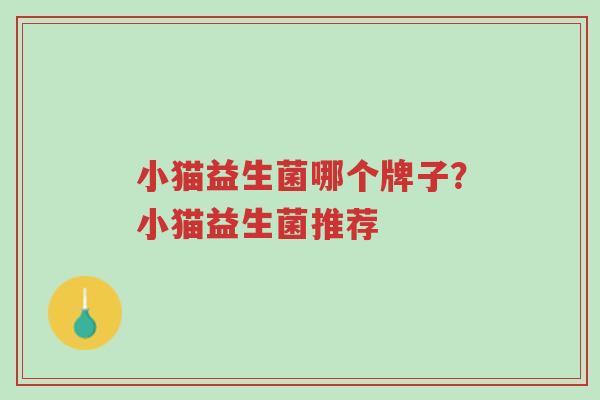 小猫益生菌哪个牌子?小猫益生菌推荐-第1张图片-超越 小猫益生菌哪个牌子?小猫益生菌推荐-第1张图片-超越