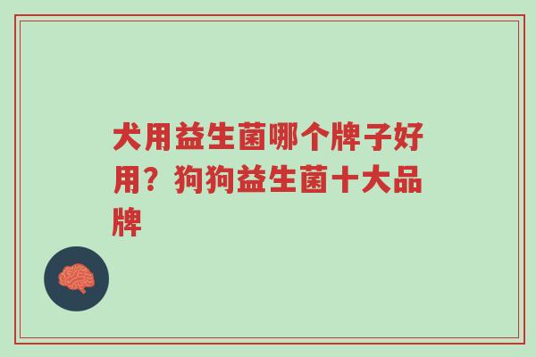 犬用益生菌哪个牌子好用?狗狗益生菌十大品牌-第1张图片-超越 犬用益生菌哪个牌子好用?狗狗益生菌十大品牌-第1张图片-超越