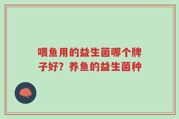 喂鱼用的益生菌哪个牌子好?养鱼的益生菌种-第1张图片-超越 喂鱼用的益生菌哪个牌子好?养鱼的益生菌种-第1张图片-超越