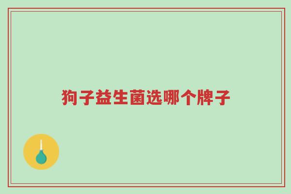 狗子益生菌选哪个牌子-第1张图片-超越 狗子益生菌选哪个牌子-第1张图片-超越