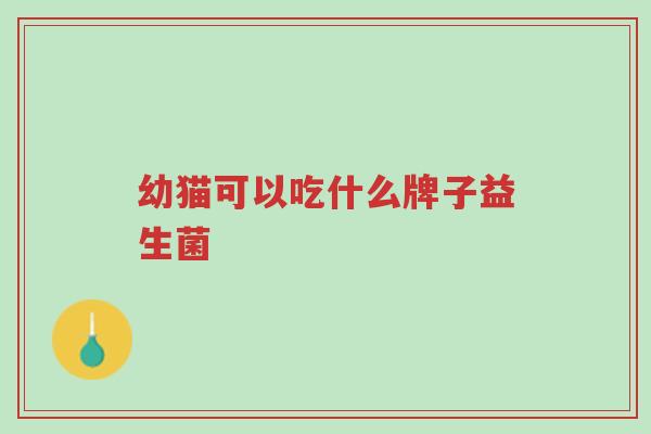 幼猫可以吃什么牌子益生菌-第1张图片-超越 幼猫可以吃什么牌子益生菌-第1张图片-超越