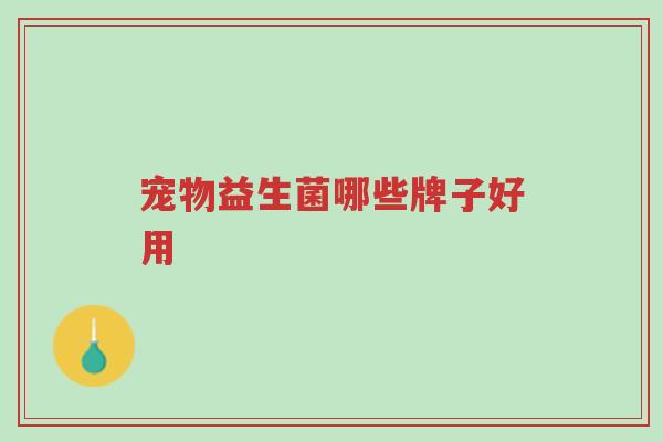 宠物益生菌哪些牌子好用-第1张图片-超越 宠物益生菌哪些牌子好用-第1张图片-超越