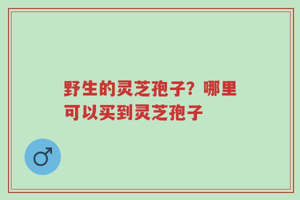 野生的灵芝孢子?哪里可以买到灵芝孢子-第1张图片-超越 野生的灵芝孢子?哪里可以买到灵芝孢子-第1张图片-超越
