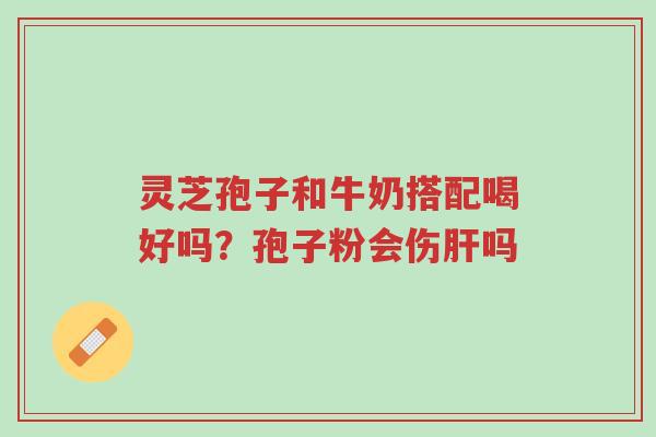 灵芝孢子和牛奶搭配喝好吗?孢子粉会伤肝吗-第1张图片-超越 灵芝孢子和牛奶搭配喝好吗?孢子粉会伤肝吗-第1张图片-超越
