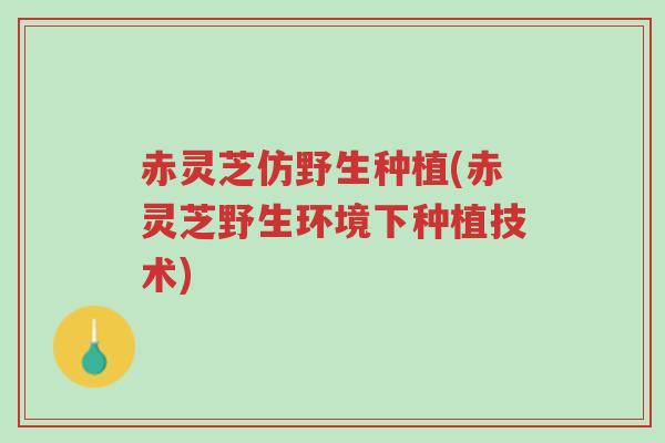 赤灵芝仿野生种植(赤灵芝野生环境下种植技术)-第1张图片-超越 赤灵芝仿野生种植(赤灵芝野生环境下种植技术)-第1张图片-超越